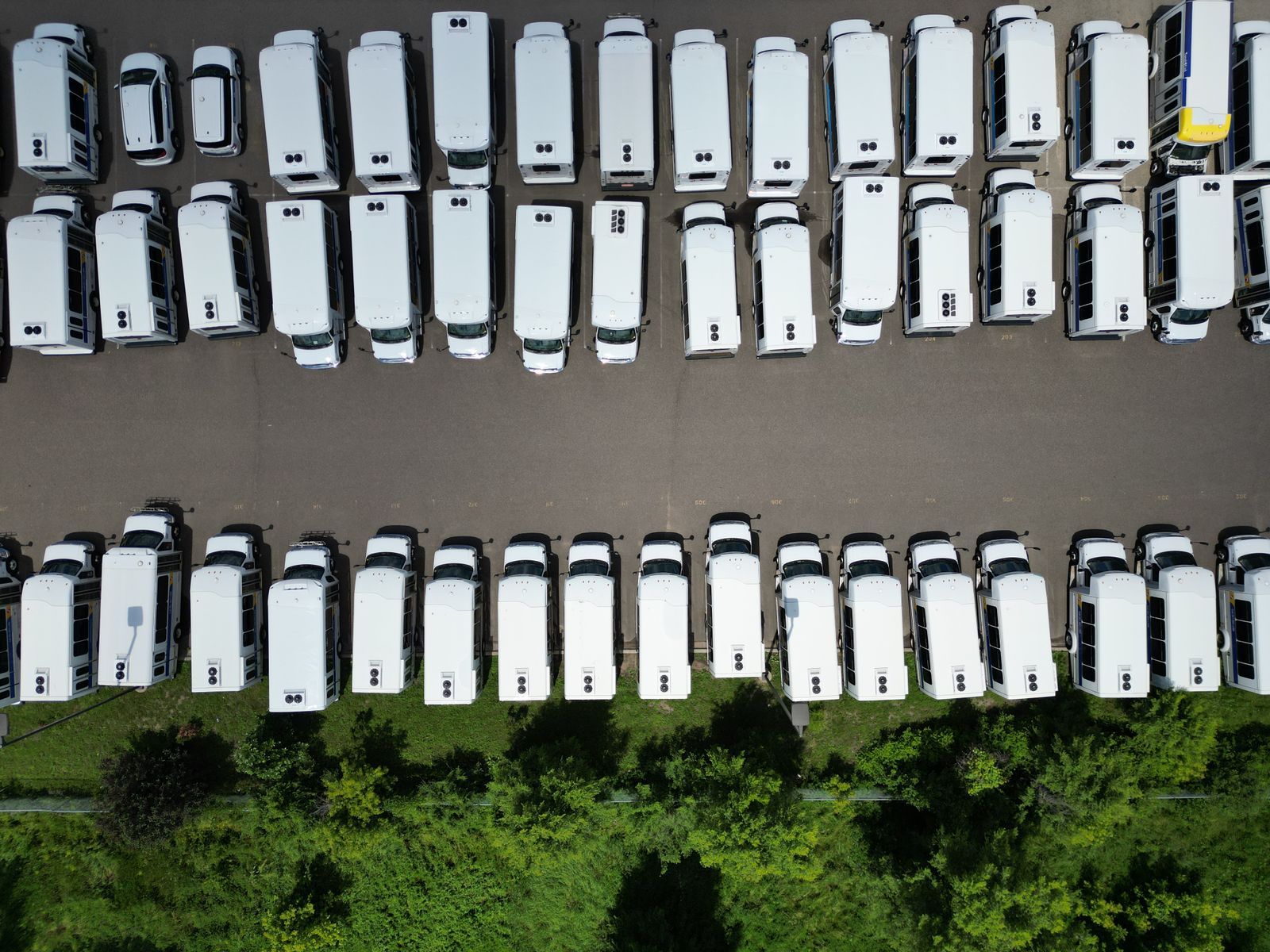 An aerial view of rows of white vans parked in a lot