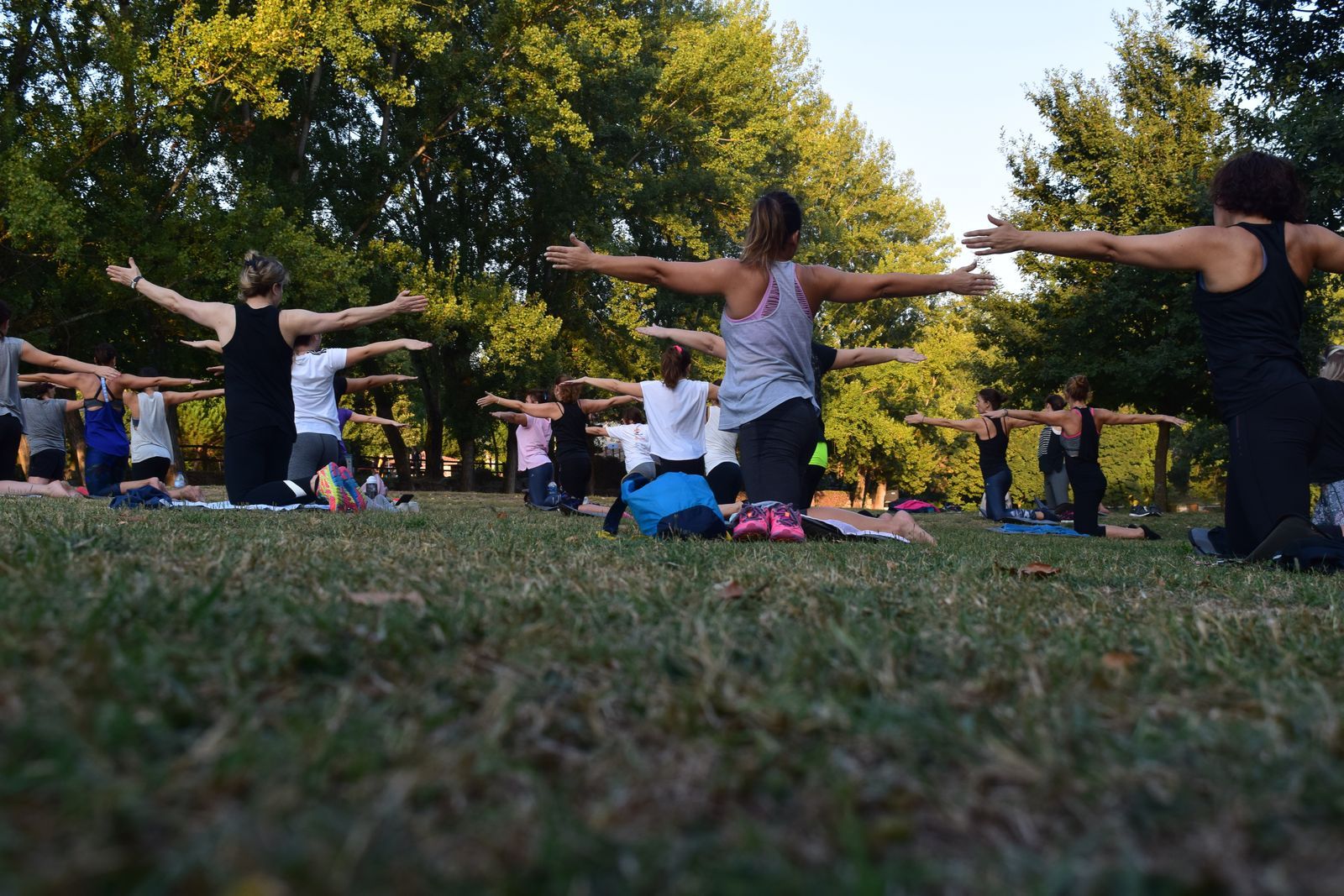 A group stretching their arms wide on the grass in a park, trees all around