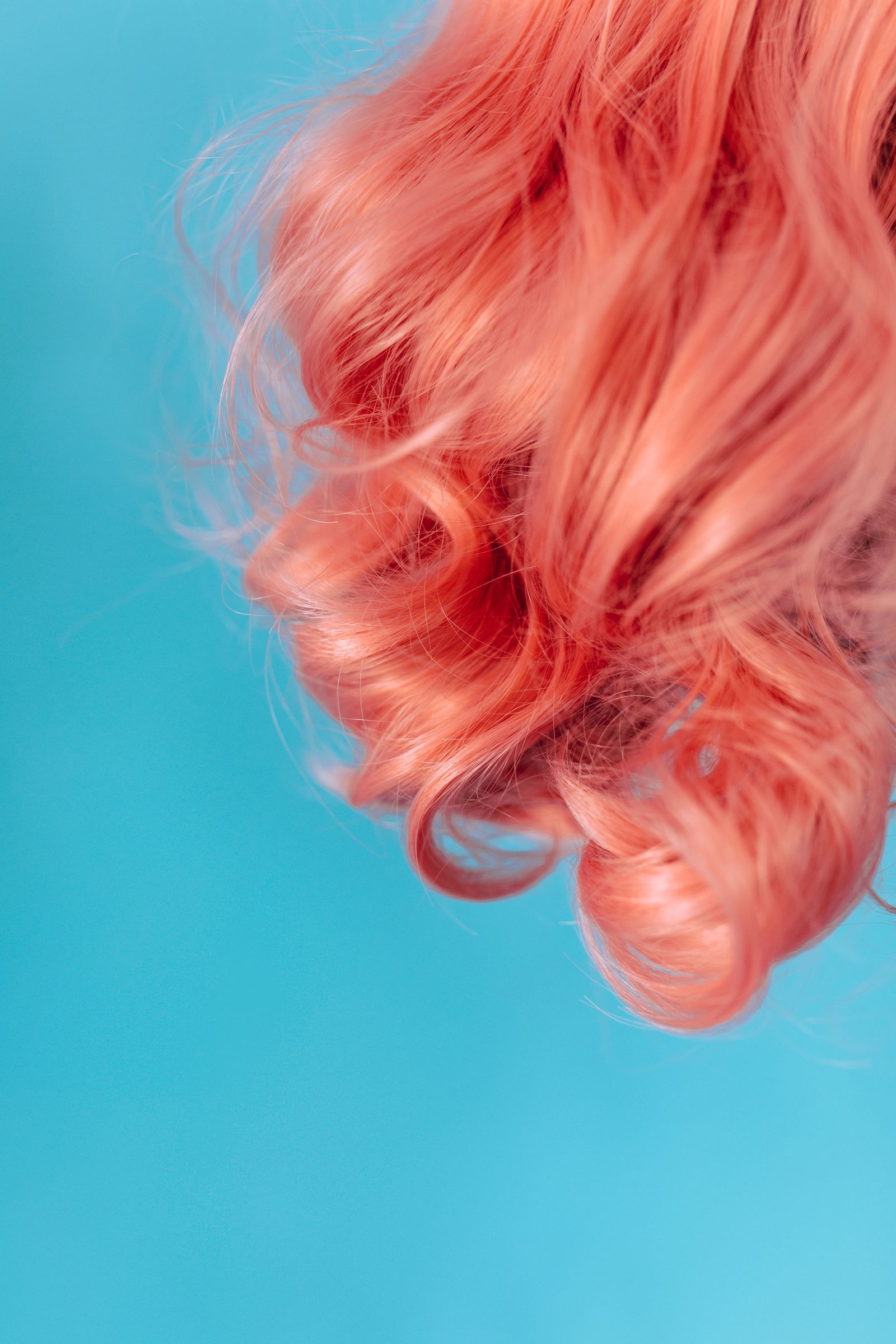 Coral curls swinging against a turquoise background