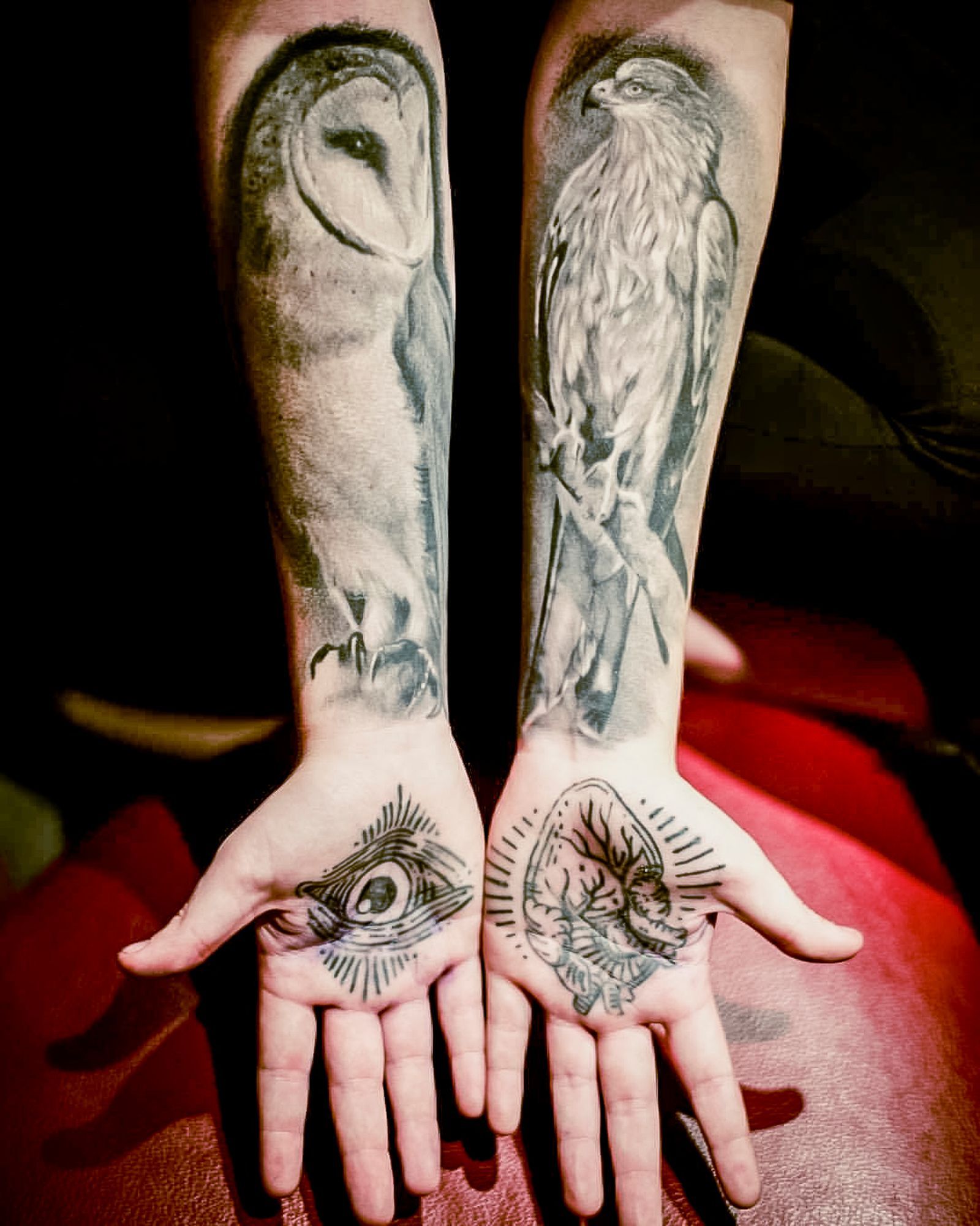 Black and grey birds of prey on an arm