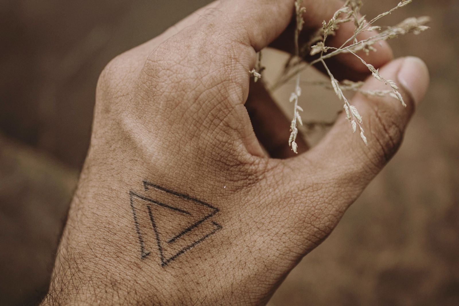 Two interlocking outline triangles on the back of a hand holding dry grass