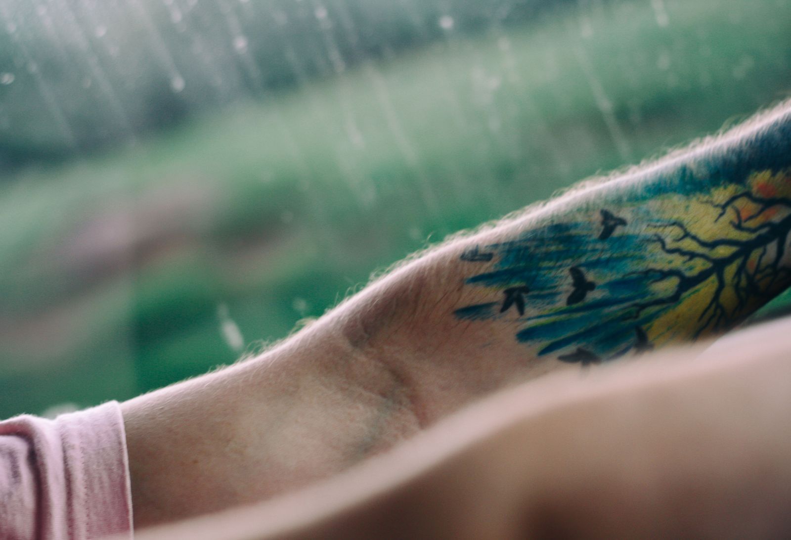 Birds and branches tattooed near a wrist